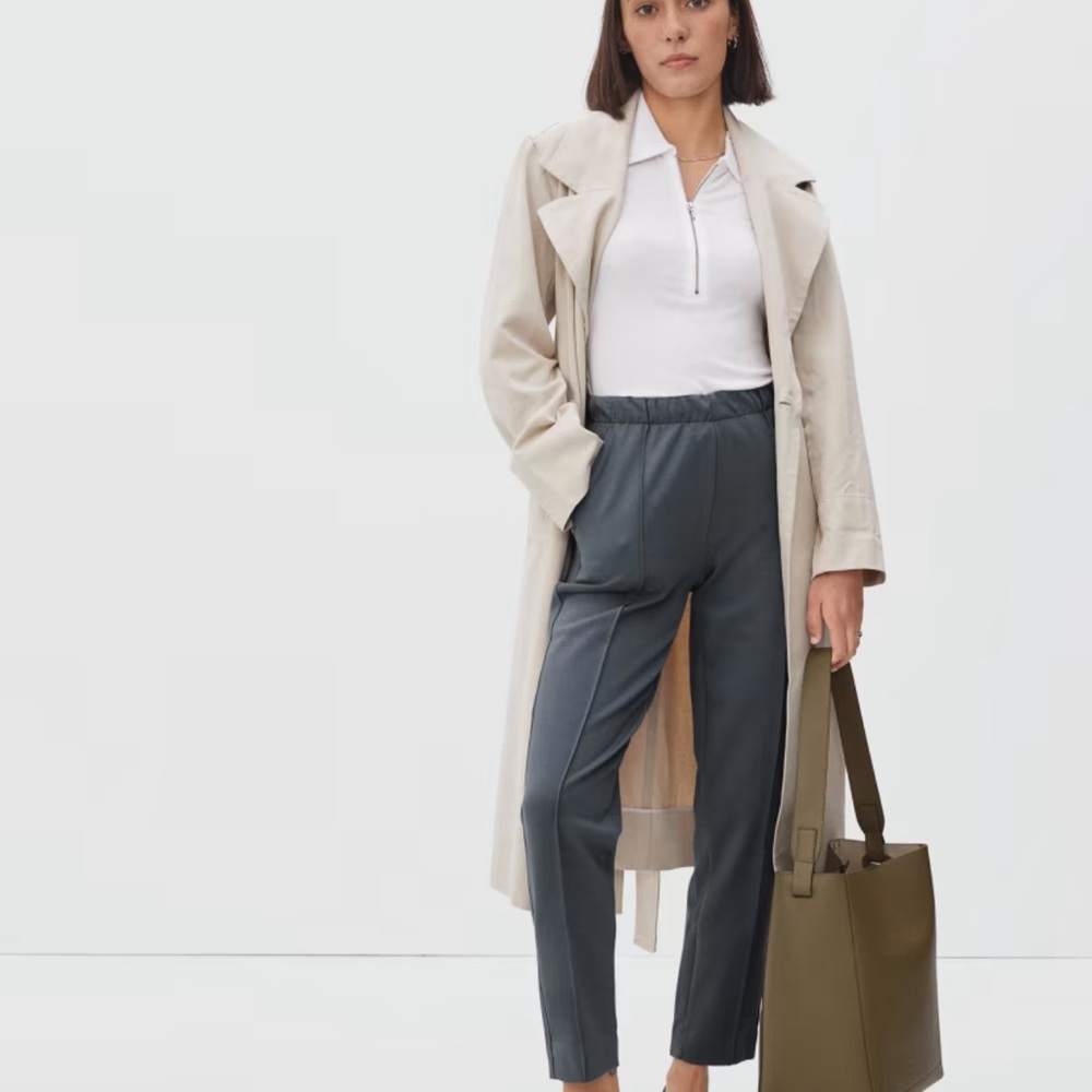 NWT Everlane The Dream Pant in Dark Gray
